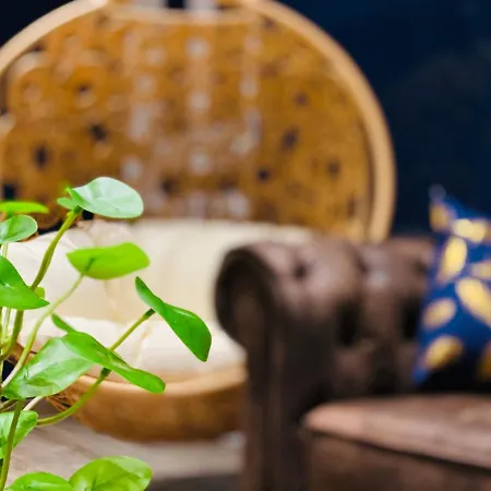 Capsule Temps Suspendu - Balnéo, Cinema&billard Valenciennes